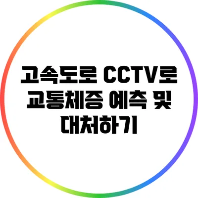 고속도로 CCTV로 교통체증 예측 및 대처하기