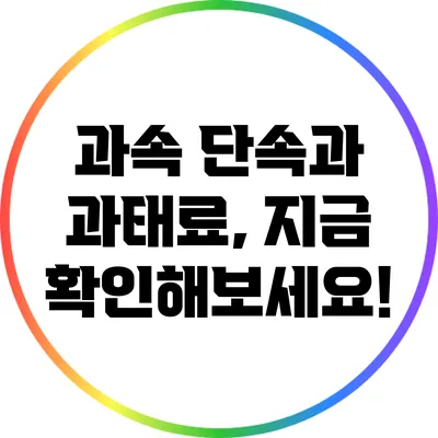 과속 단속과 과태료, 지금 확인해보세요!
