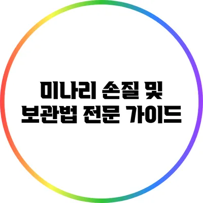 미나리 손질 및 보관법 전문 가이드