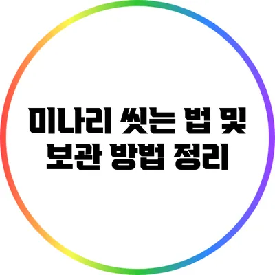 미나리 씻는 법 및 보관 방법 정리