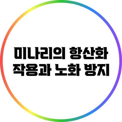 미나리의 항산화 작용과 노화 방지