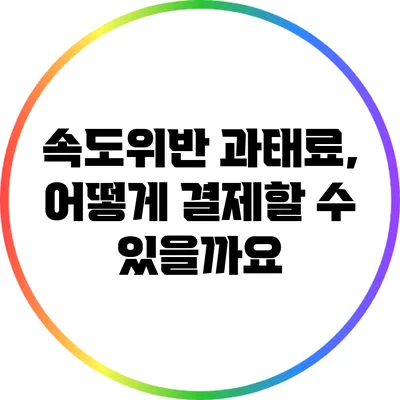 속도위반 과태료, 어떻게 결제할 수 있을까요?
