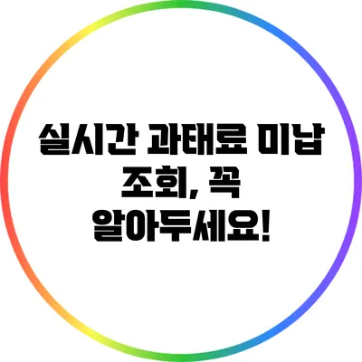 실시간 과태료 미납 조회, 꼭 알아두세요!