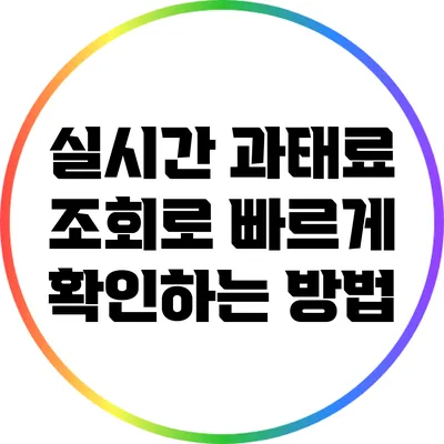 실시간 과태료 조회로 빠르게 확인하는 방법