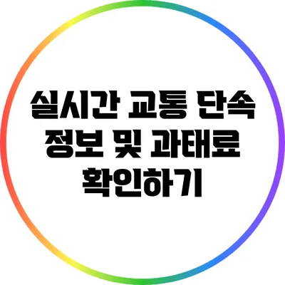 실시간 교통 단속 정보 및 과태료 확인하기