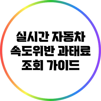 실시간 자동차 속도위반 과태료 조회 가이드