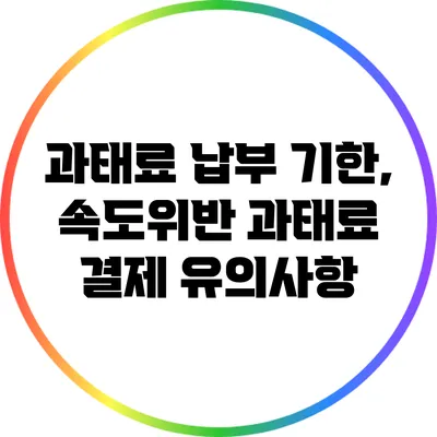 과태료 납부 기한, 속도위반 과태료 결제 유의사항