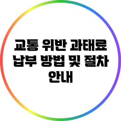 교통 위반 과태료 납부 방법 및 절차 안내