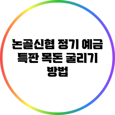 논골신협 정기 예금 특판: 목돈 굴리기 방법