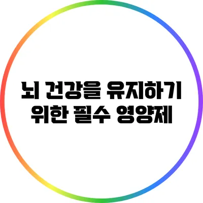 뇌 건강을 유지하기 위한 필수 영양제