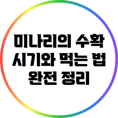 미나리의 수확 시기와 먹는 법 완전 정리