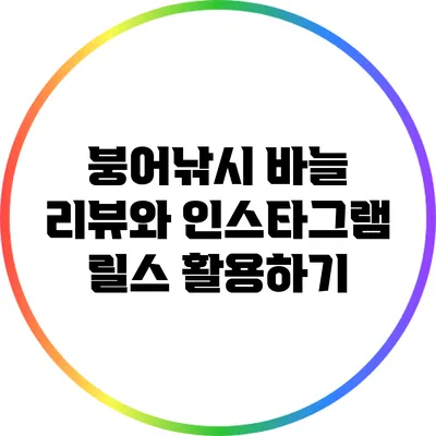 붕어낚시 바늘 리뷰와 인스타그램 릴스 활용하기