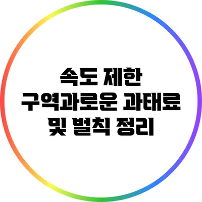 속도 제한 구역과로운 과태료 및 벌칙 정리