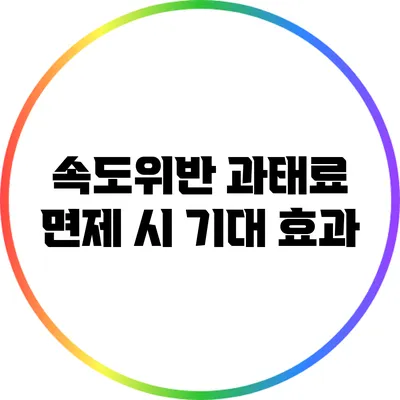 속도위반 과태료 면제 시 기대 효과