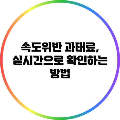 속도위반 과태료, 실시간으로 확인하는 방법