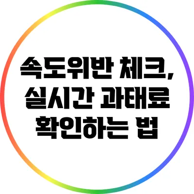 속도위반 체크, 실시간 과태료 확인하는 법