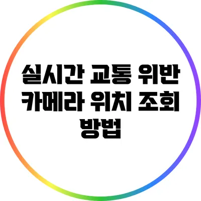 실시간 교통 위반 카메라 위치 조회 방법