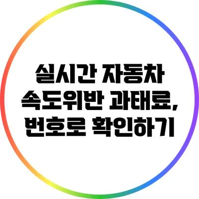 실시간 자동차 속도위반 과태료, 번호로 확인하기