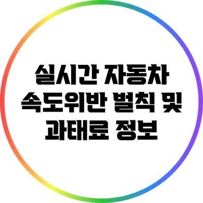 실시간 자동차 속도위반 벌칙 및 과태료 정보