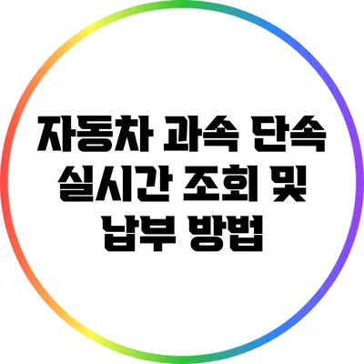 자동차 과속 단속 실시간 조회 및 납부 방법