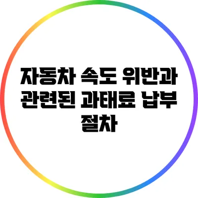 자동차 속도 위반과 관련된 과태료 납부 절차