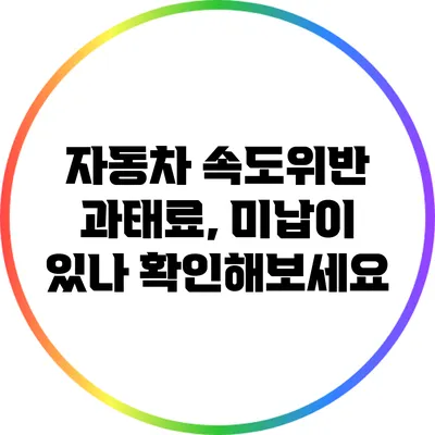 자동차 속도위반 과태료, 미납이 있나 확인해보세요