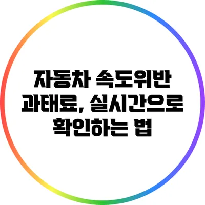 자동차 속도위반 과태료, 실시간으로 확인하는 법