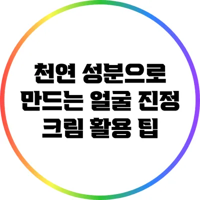 천연 성분으로 만드는 얼굴 진정 크림 활용 팁