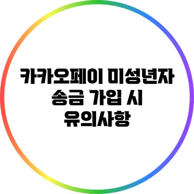 카카오페이 미성년자 송금 가입 시 유의사항