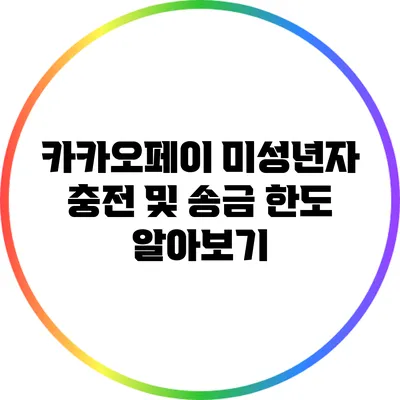 카카오페이 미성년자 충전 및 송금 한도 알아보기