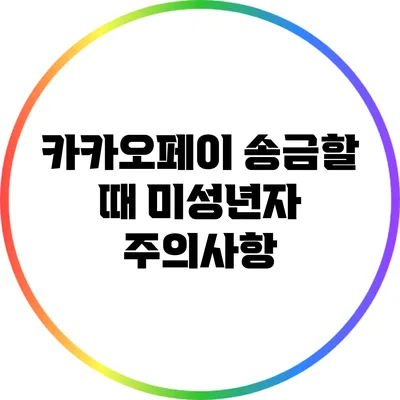 카카오페이 송금할 때 미성년자 주의사항