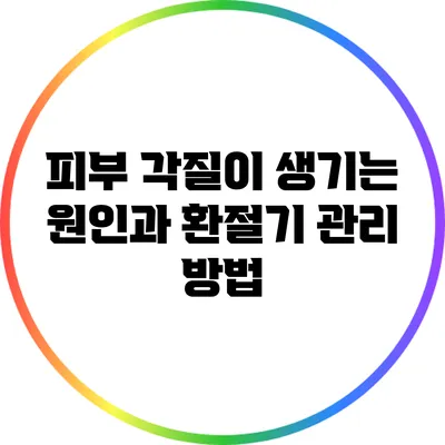 피부 각질이 생기는 원인과 환절기 관리 방법