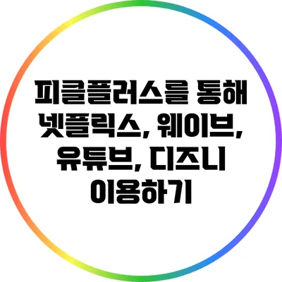 피클플러스를 통해 넷플릭스, 웨이브, 유튜브, 디즈니 이용하기