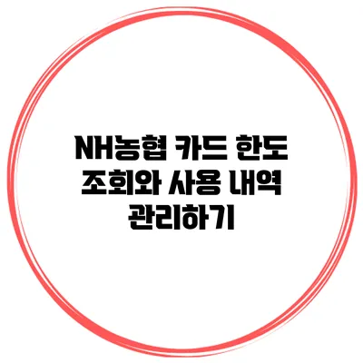 NH농협 카드 한도 조회와 사용 내역 관리하기