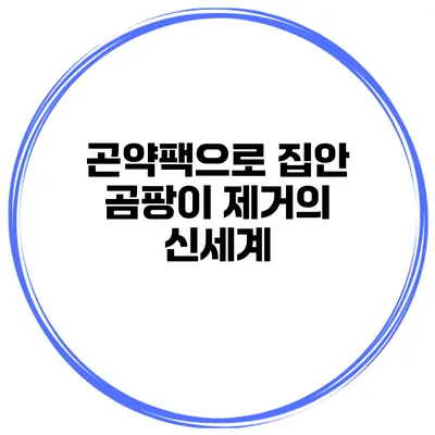 곤약팩으로 집안 곰팡이 제거의 신세계