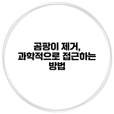 곰팡이 제거, 과학적으로 접근하는 방법