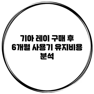 기아 레이 구매 후 6개월 사용기 유지비용 분석