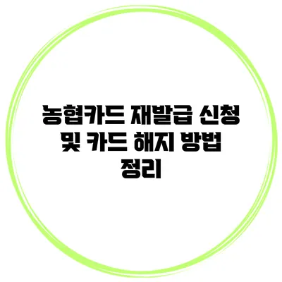 농협카드 재발급 신청 및 카드 해지 방법 정리
