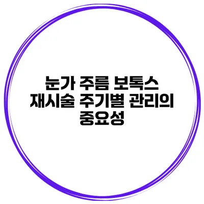눈가 주름 보톡스 재시술 주기별 관리의 중요성