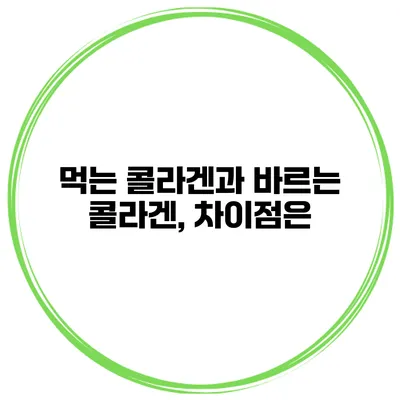 먹는 콜라겐과 바르는 콜라겐, 차이점은?