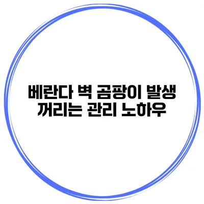 베란다 벽 곰팡이 발생 꺼리는 관리 노하우