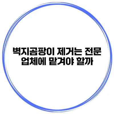 벽지곰팡이 제거는 전문 업체에 맡겨야 할까?