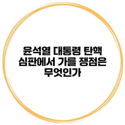 윤석열 대통령 탄핵 심판에서 가를 쟁점은 무엇인가?