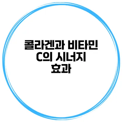 콜라겐과 비타민 C의 시너지 효과