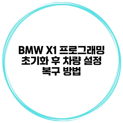 BMW X1 프로그래밍 초기화 후 차량 설정 복구 방법