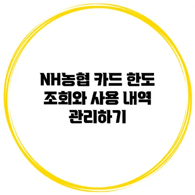 NH농협 카드 한도 조회와 사용 내역 관리하기