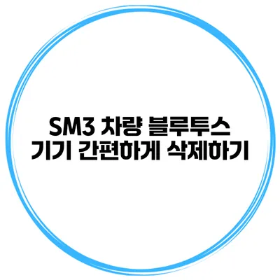 SM3 차량 블루투스 기기 간편하게 삭제하기