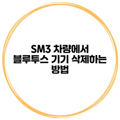 SM3 차량에서 블루투스 기기 삭제하는 방법