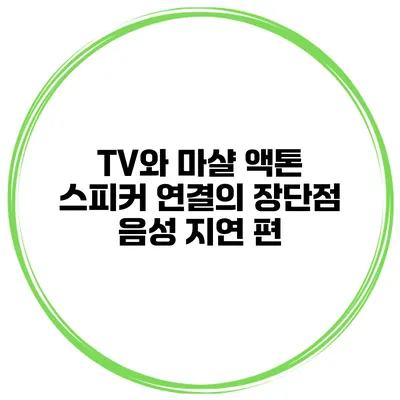 TV와 마샬 액톤 스피커 연결의 장단점 음성 지연 편
