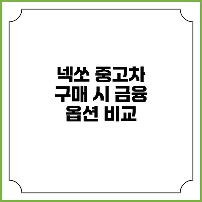 넥쏘 중고차 구매 시 금융 옵션 비교